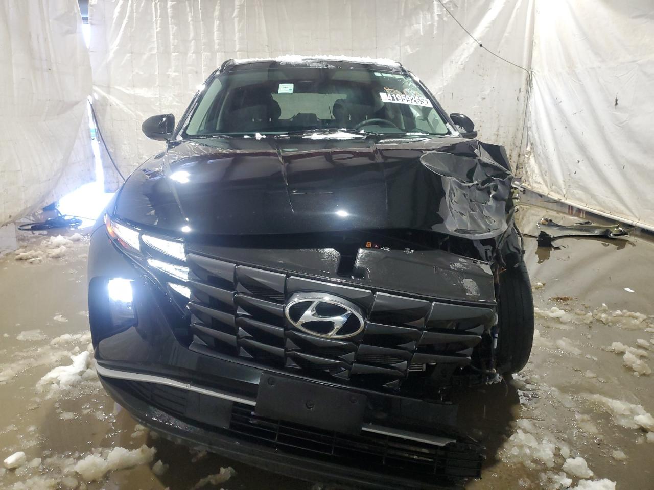 2024 Hyundai Tucson - Image 5