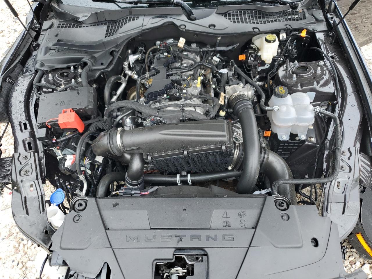 1FA6P8TH7R5139778 FORD ALL Models 2024