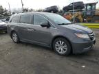 2014 Honda Odyssey Exl zu verkaufen in Denver, CO - Hail