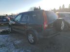 2004 HONDA CR-V EX for sale at Copart ON - TORONTO