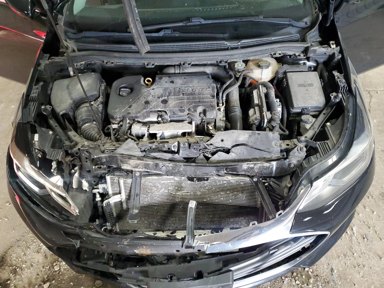 1G1BE5SM5K7124260 CHEVROLET CRUZE 2019