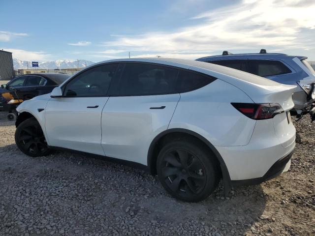  TESLA MODEL Y 2023 Белы