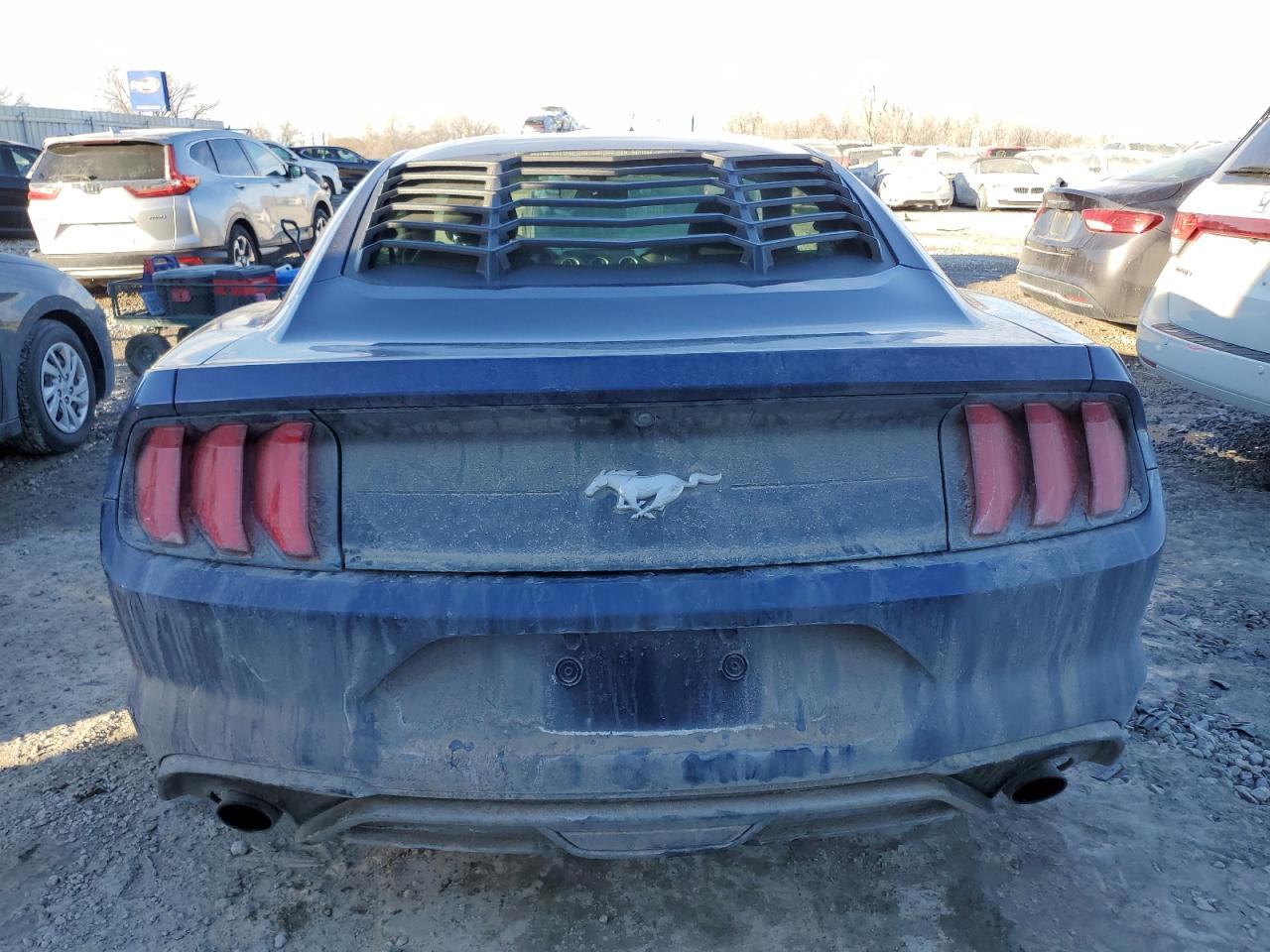 2018 Ford Mustang VIN: 1FA6P8TH4J5103552 Lot: 42376625