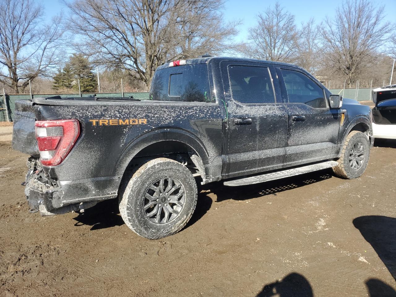 1FTEW1E86NFA62399 FORD F-150 2022