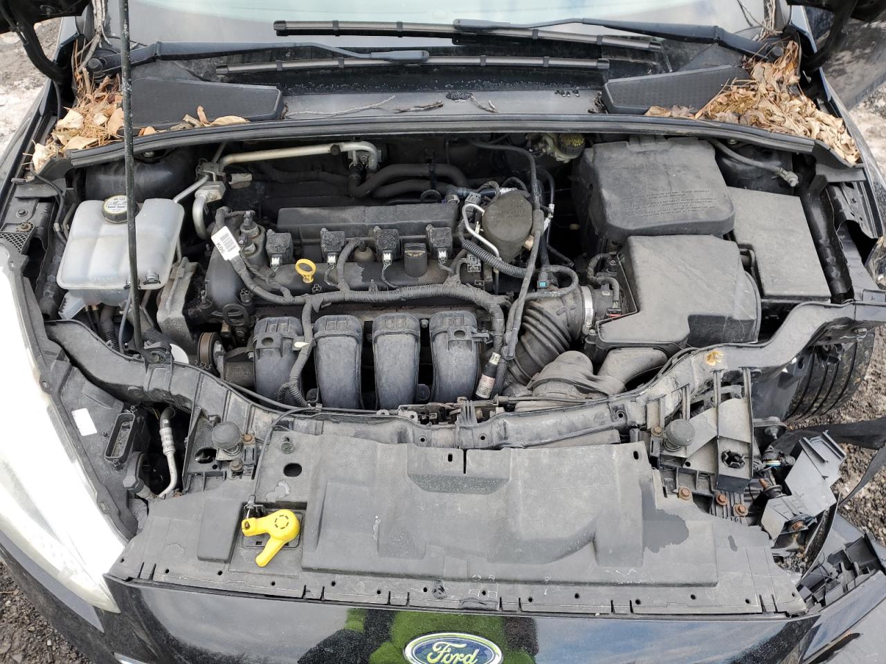 1FADP3K23GL272392 FORD FOCUS 2016