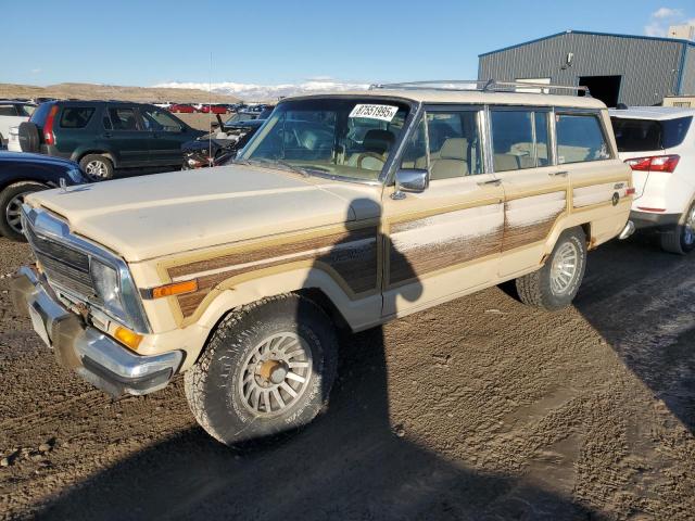 1989 Jeep Grand Wagoneer 