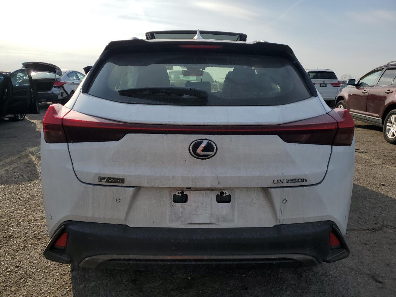 2021 Lexus UX - Image 6