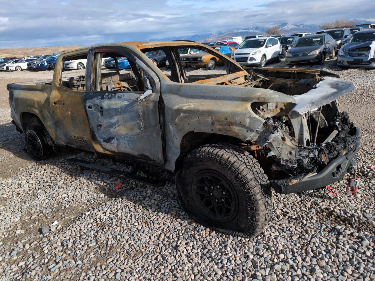 1GCPTFEKXR1267236 CHEVROLET COLORADO 2024