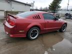 2005 Ford Mustang  للبيع في Lexington، KY - Rear End