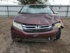 2014 Honda Odyssey Exl for Sale in Mercedes, TX - Front End
