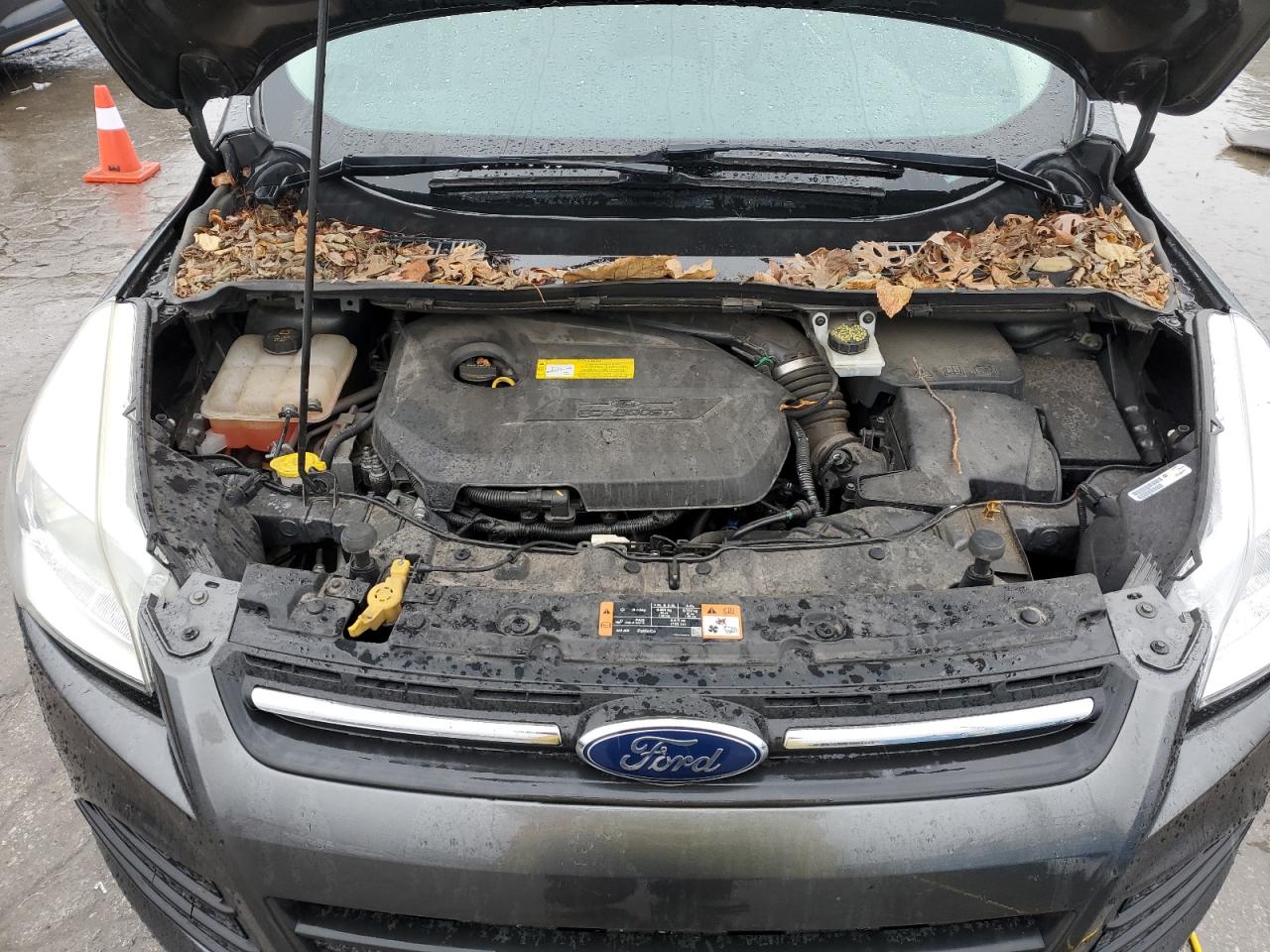 2015 Ford Escape - Image 12