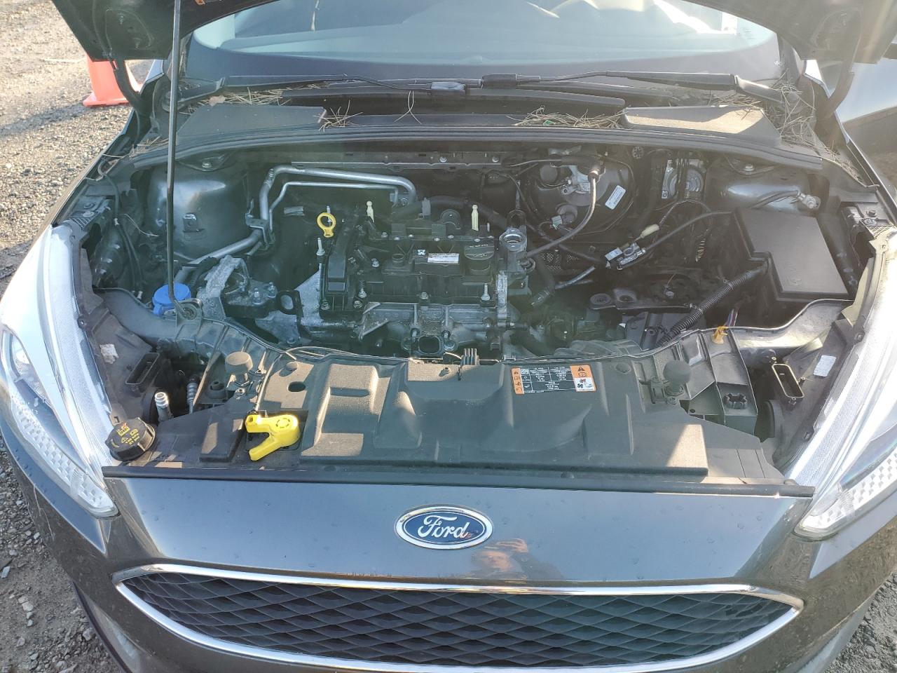 1FADP3KE7GL306523 FORD FOCUS 2016
