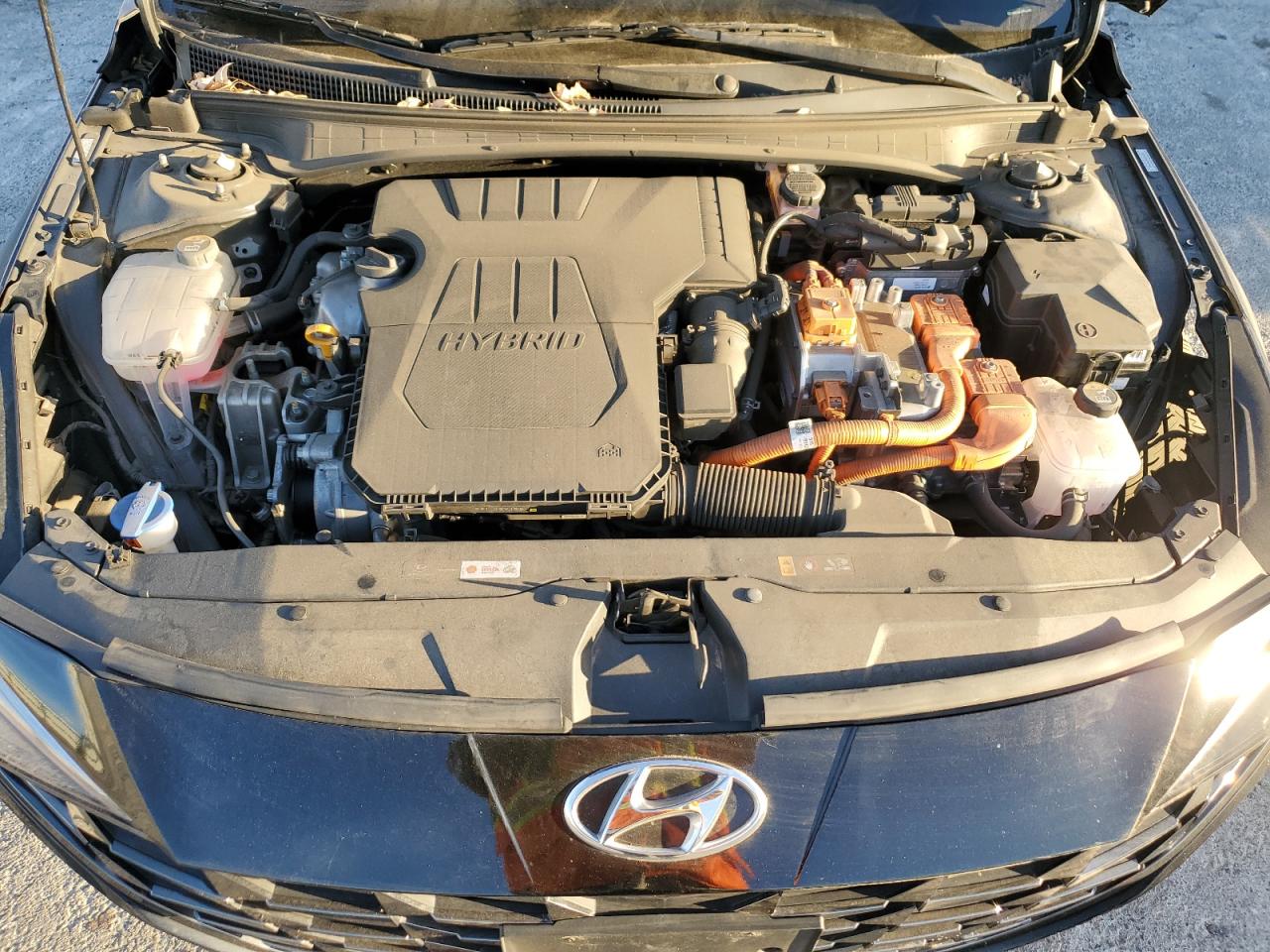 KMHLN4AJ0PU034676 HYUNDAI ELANTRA 2023
