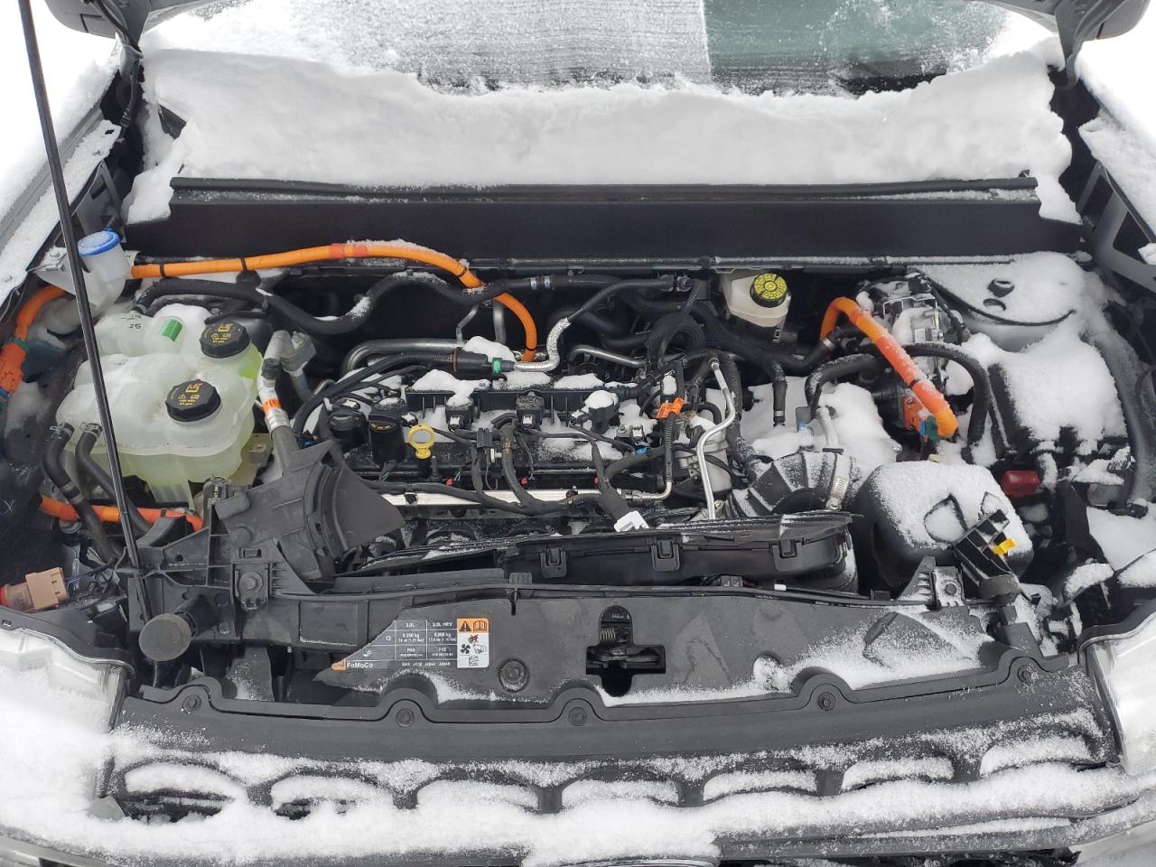 3FTTW8H31RRA50458 FORD MAVERICK 2024