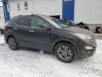 2014 HYUNDAI SANTA FE SPORT  for sale at Copart NB - MONCTON