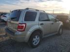 2010 Ford Escape Xlt за продажба в Windsor, NJ - Front End