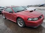 2004 Ford Mustang  იყიდება Rocky View County-ში, AB - Rear End