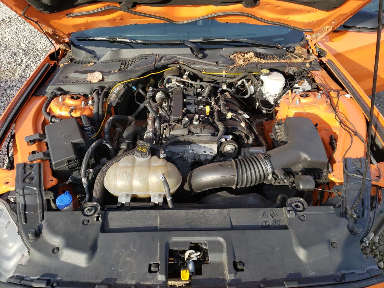 1FA6P8TH2M5117907 FORD ALL Models 2021