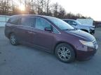 2013 Honda Odyssey Exl للبيع في Brookhaven، NY - Minor Dent/Scratches