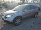 2008 Honda Cr-V Exl للبيع في Franklin، WI - All Over