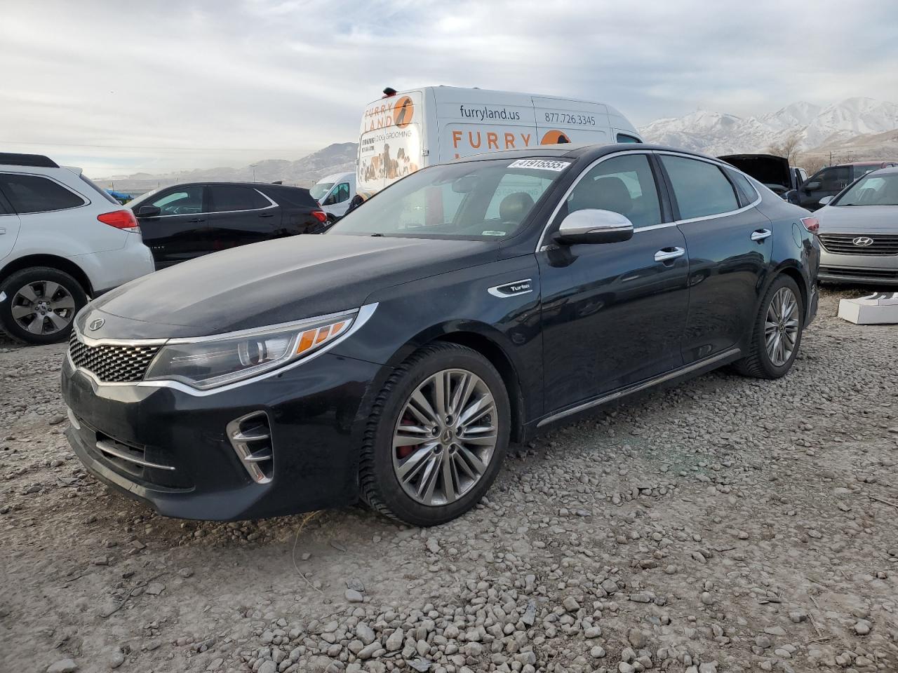 VIN 5XXGV4L23GG087812 2016 KIA OPTIMA no.1