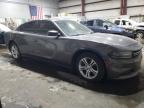 2015 Dodge Charger Se იყიდება Bridgeton-ში, MO - Hail