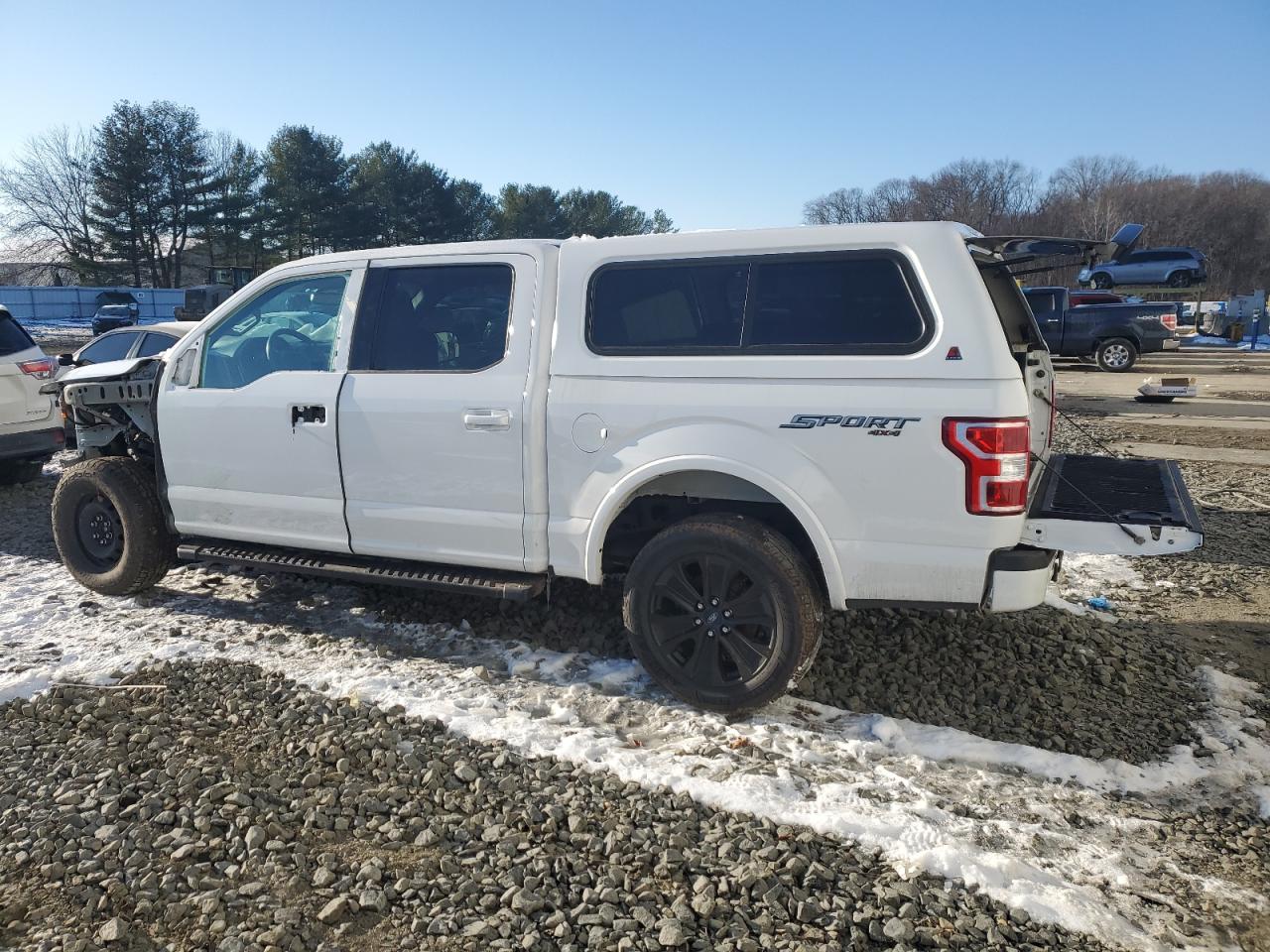 1FTEW1E49LFC14993 FORD F-150 2020
