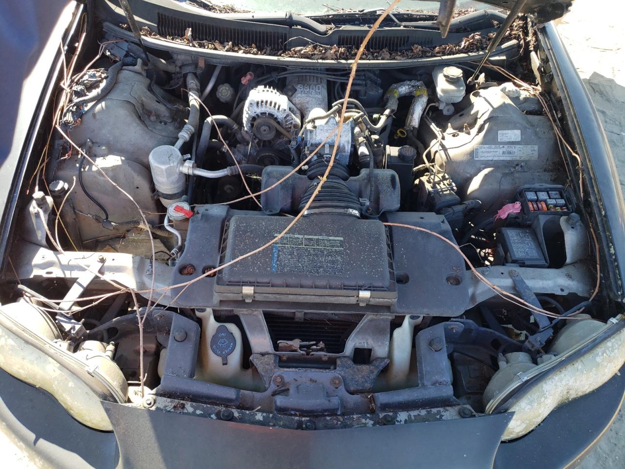 2000 Chevrolet Camaro - Image 11