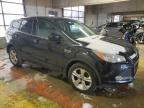 2015 Ford Escape Se продається в Indianapolis, IN - Minor Dent/Scratches