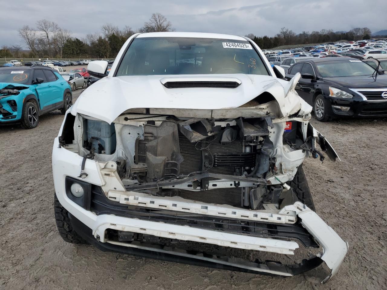 2019 Toyota Tacoma - Image 5