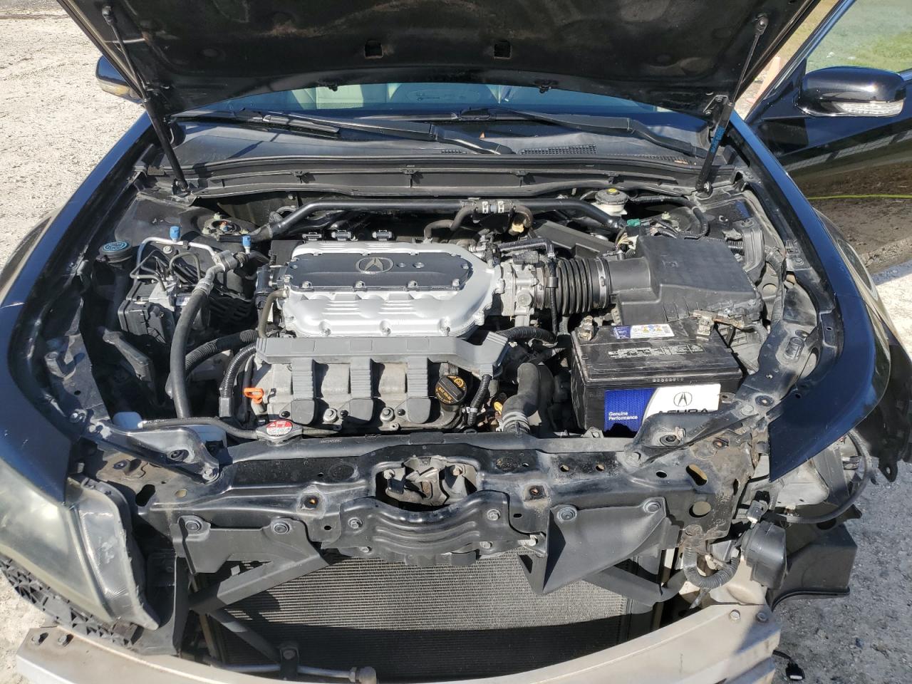 VIN 19UUA8F2XDA016438 2013 ACURA TL no.11