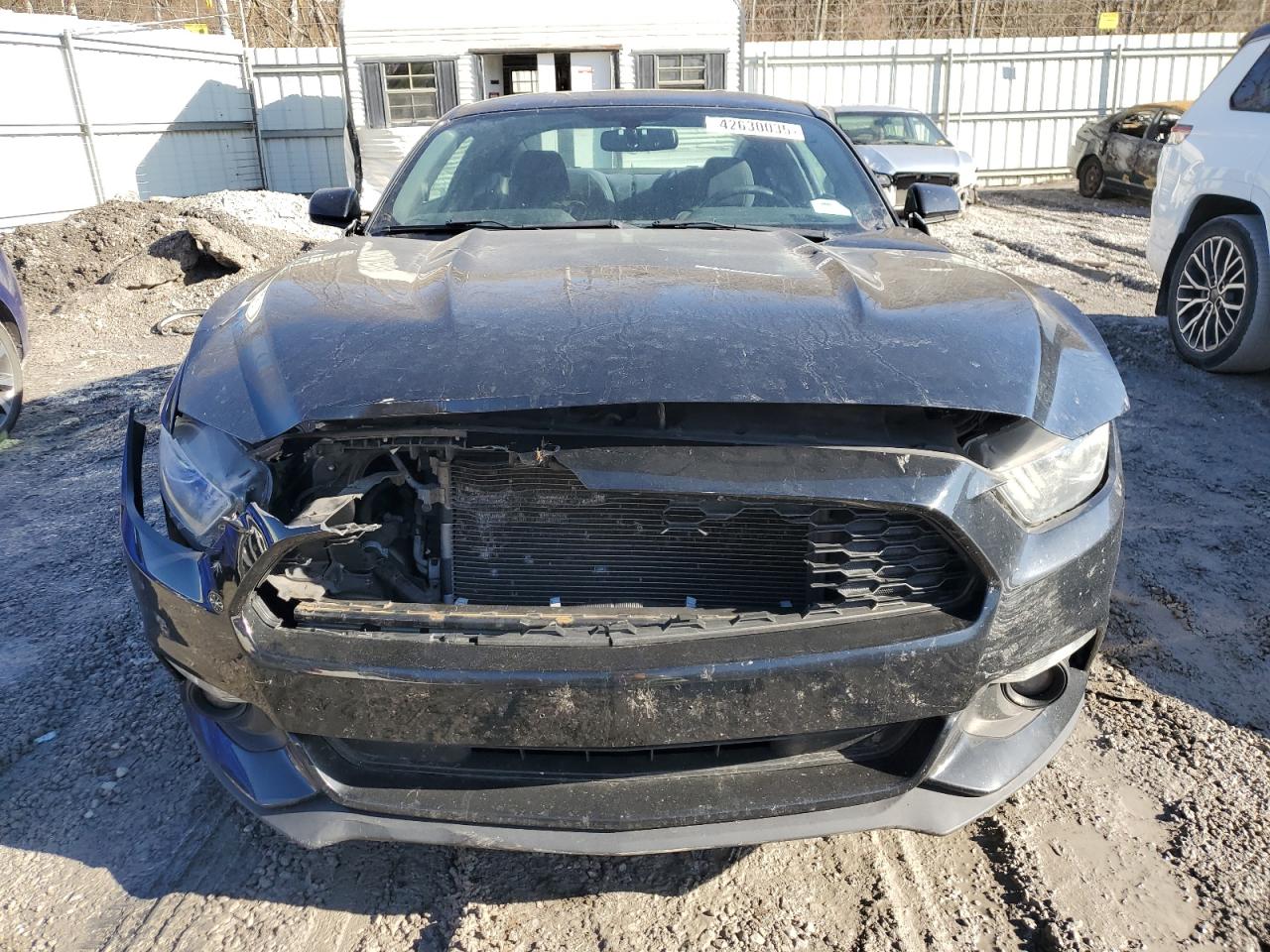 1FA6P8AM8G5329537 FORD ALL Models 2016