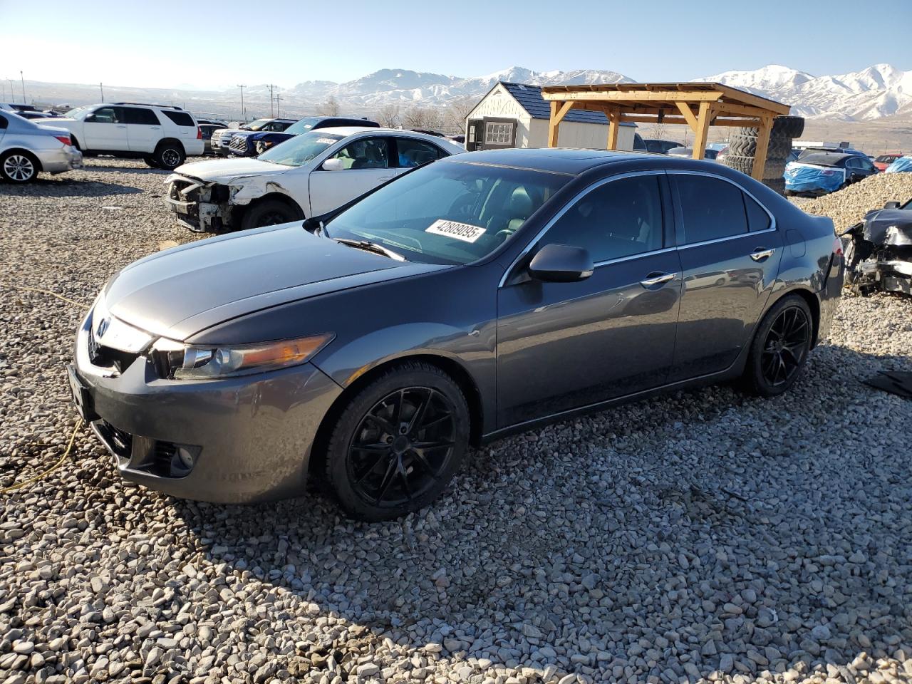 2010 Acura TSX - Image 1
