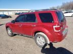 Madisonville, TN에서 판매 중인 2010 Ford Escape Xlt - Front End