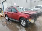 New Orleans, LA에서 판매 중인 2010 Ford Escape Xlt - Front End
