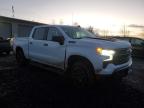 2023 Chevrolet Silverado K1500 Lt Trail Boss for Sale in Eugene, OR - Front End