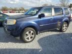 2014 Honda Pilot Exln იყიდება Riverview-ში, FL - Minor Dent/Scratches