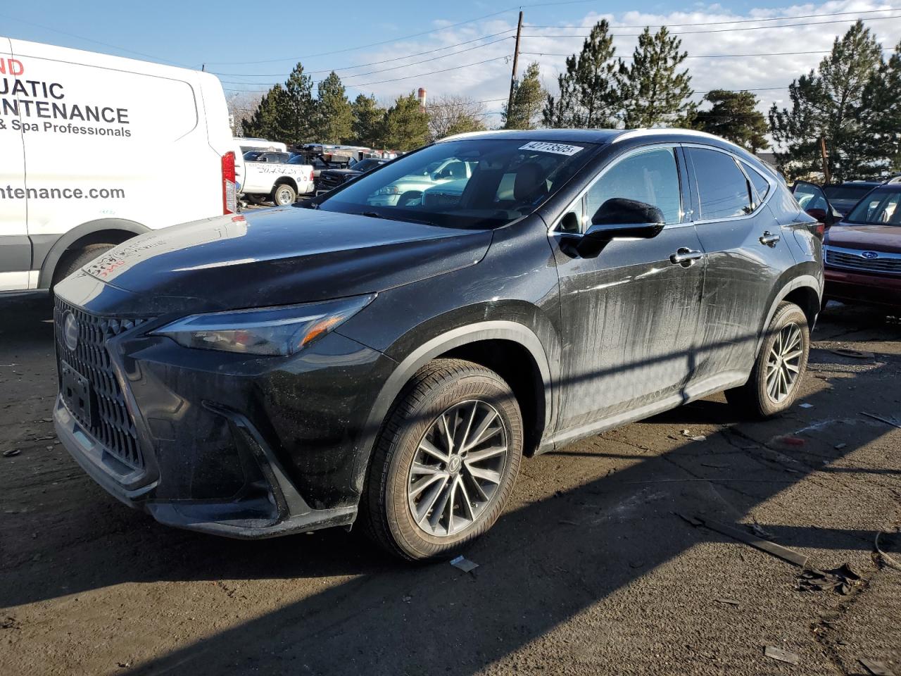 2023 Lexus NX - Image 1