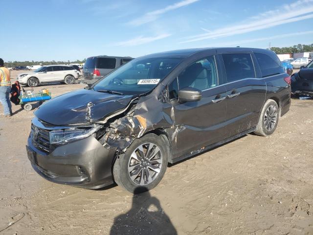 2023 Honda Odyssey Exl