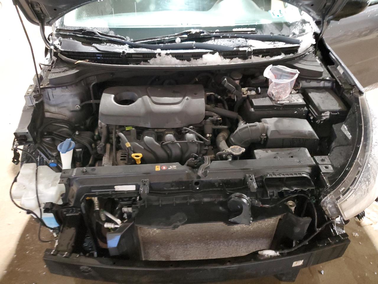 2019 Kia Rio - Image 11