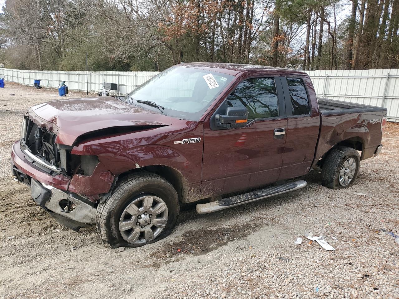 2010 Ford F-150 - Image 1