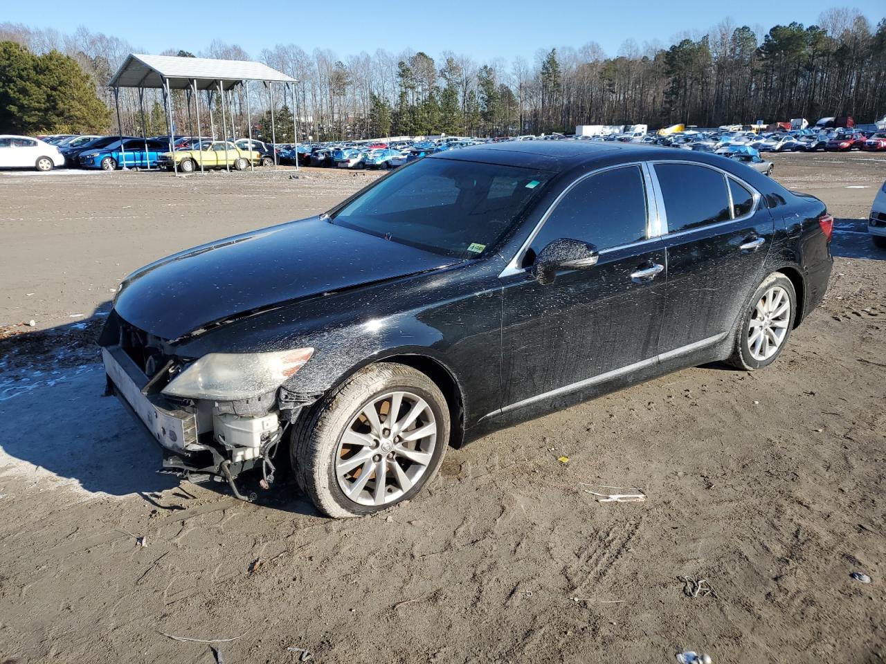 2011 Lexus LS - Image 1