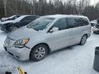 2010 HONDA ODYSSEY EX for sale at Copart ON - COOKSTOWN