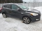 2014 FORD ESCAPE TITANIUM for sale at Copart ON - LONDON