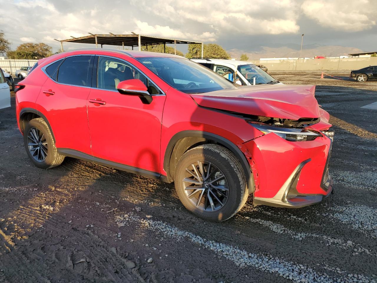 2024 Lexus NX - Image 4
