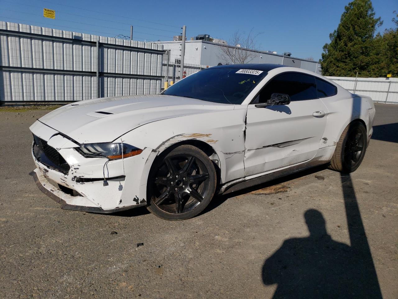 2020 Ford Mustang - Image 1