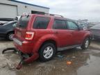New Orleans, LA에서 판매 중인 2010 Ford Escape Xlt - Front End