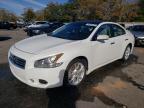 2012 Nissan Maxima S for Sale in Eight Mile, AL - Rear End