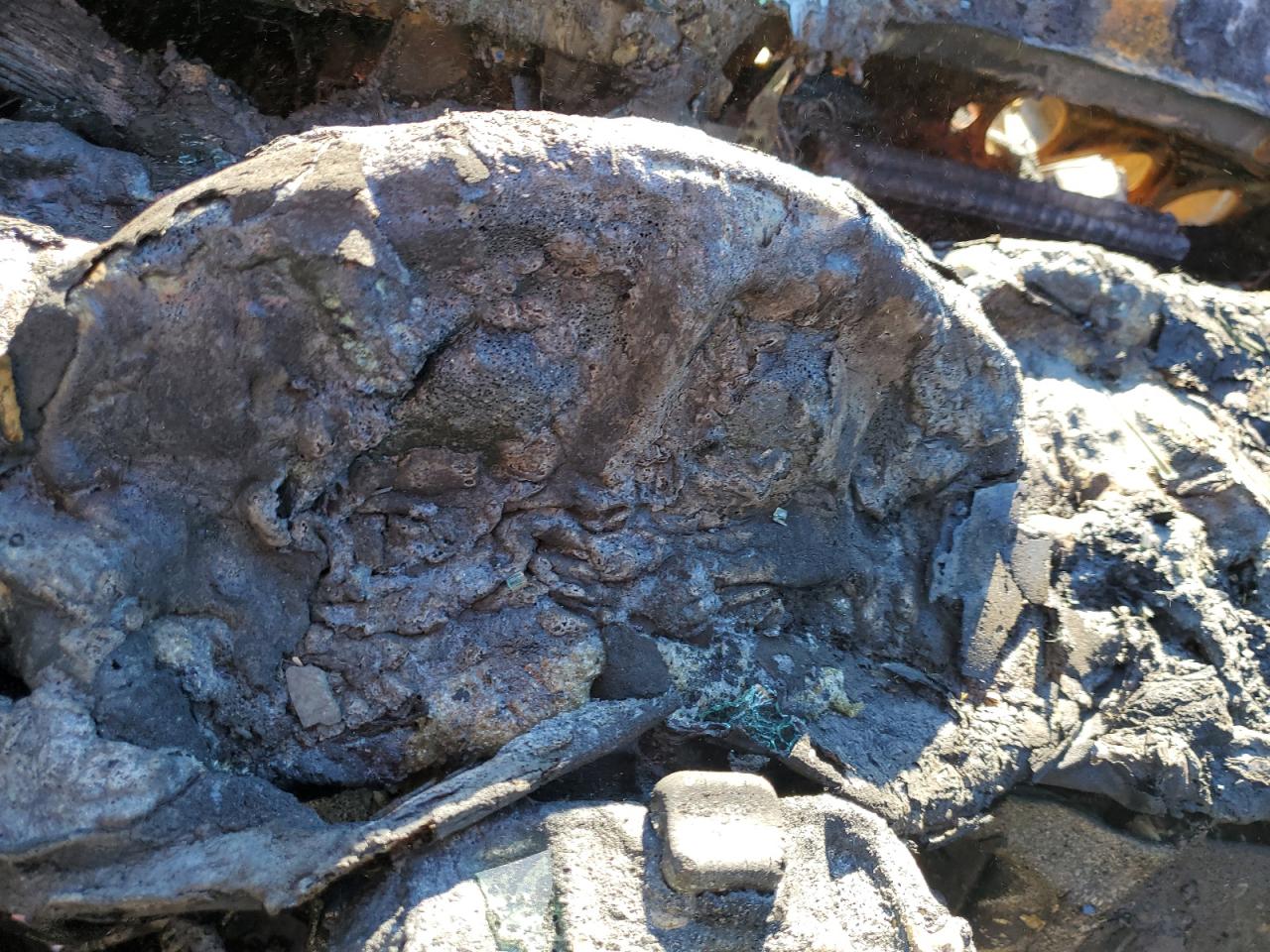 2008 Subaru Legacy 2.5I VIN: 4S3BL616487203885 Lot: 87607615