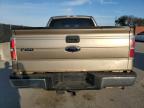 2013 Ford F150 Supercrew للبيع في Orlando، FL - Rear End